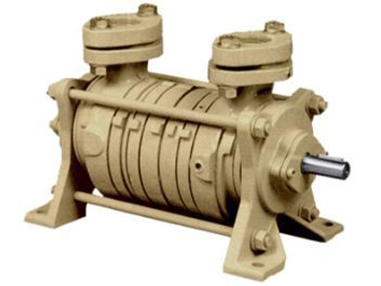 Dekker Titan Series Two-Stage Liquid Ring Vacuum Pump