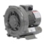 All-Star RBH2 Series Regenerative Blower (RBH2 option)